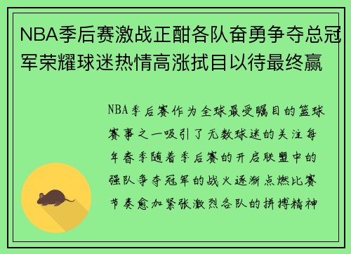 NBA季后赛激战正酣各队奋勇争夺总冠军荣耀球迷热情高涨拭目以待最终赢家