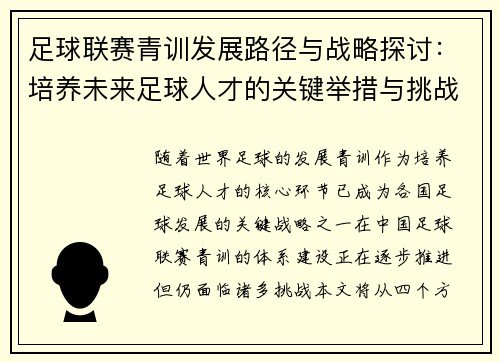 足球联赛青训发展路径与战略探讨：培养未来足球人才的关键举措与挑战