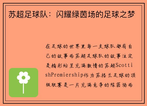 苏超足球队：闪耀绿茵场的足球之梦